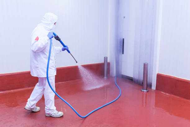 Reliable Friars Point, MS Pressure Washing Services Solutions