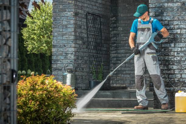 Best Solar Panel Cleaning  in Friars Point, MS